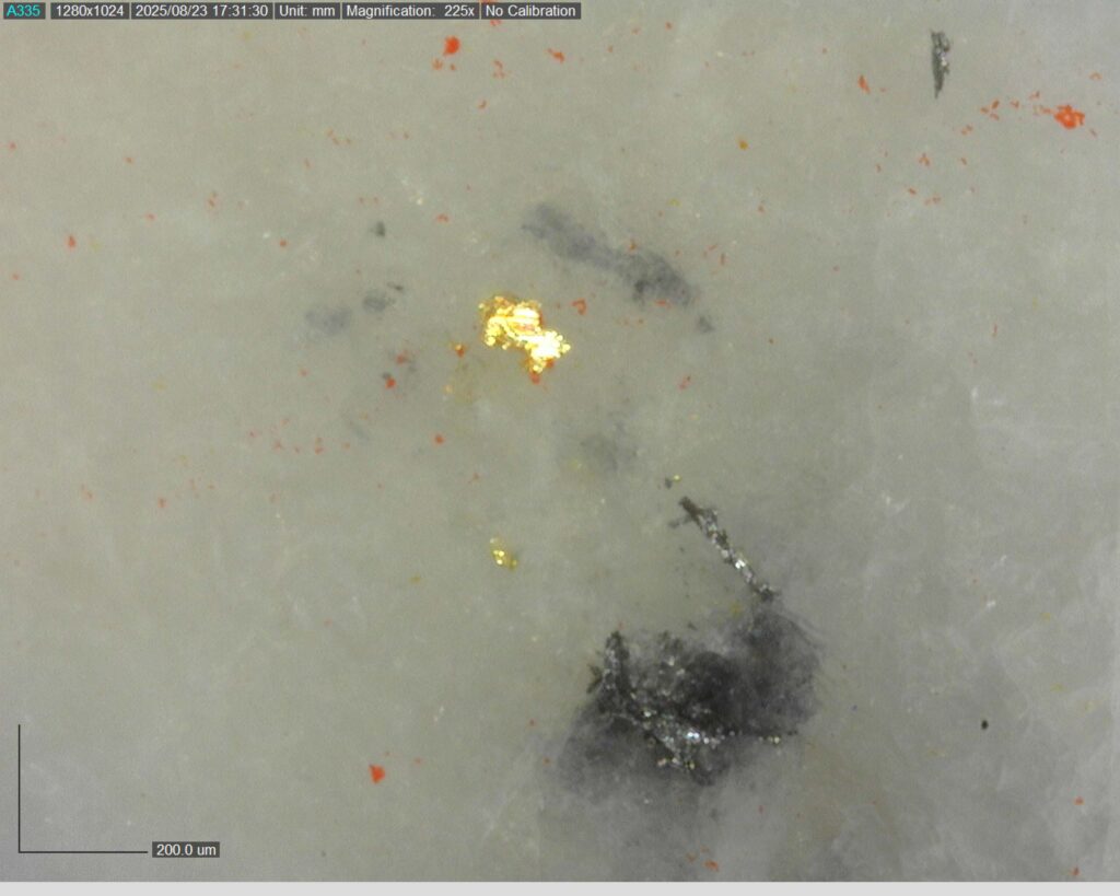 Ddrcgr 25 02 Vg At 133.44m 225x