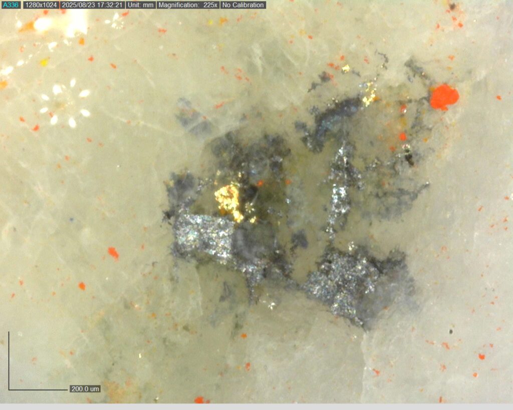 Ddrcgr 25 02 Vg At 133.54m 225x