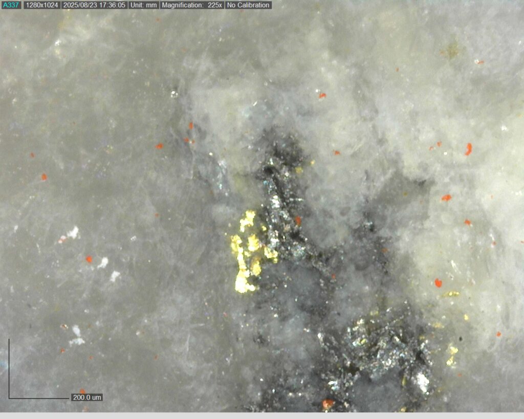 Ddrcgr 25 02 Vg At 134m 225x0