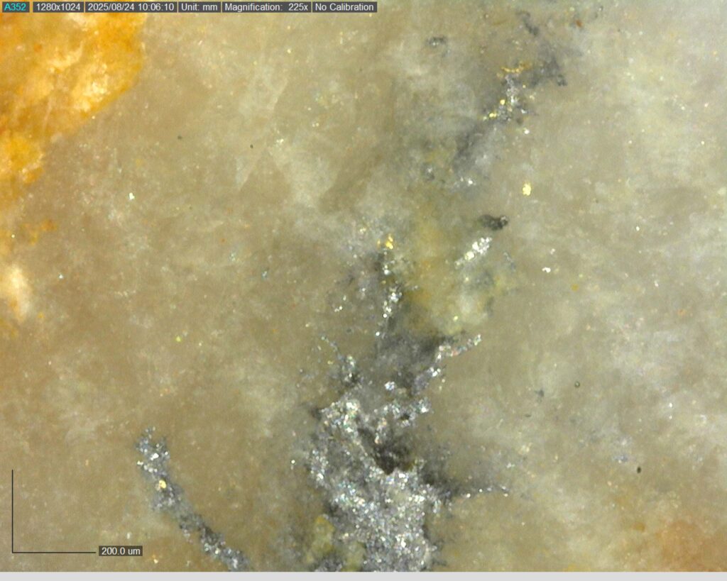 Ddrcgr 25 02 Vg At 160.93m 225x
