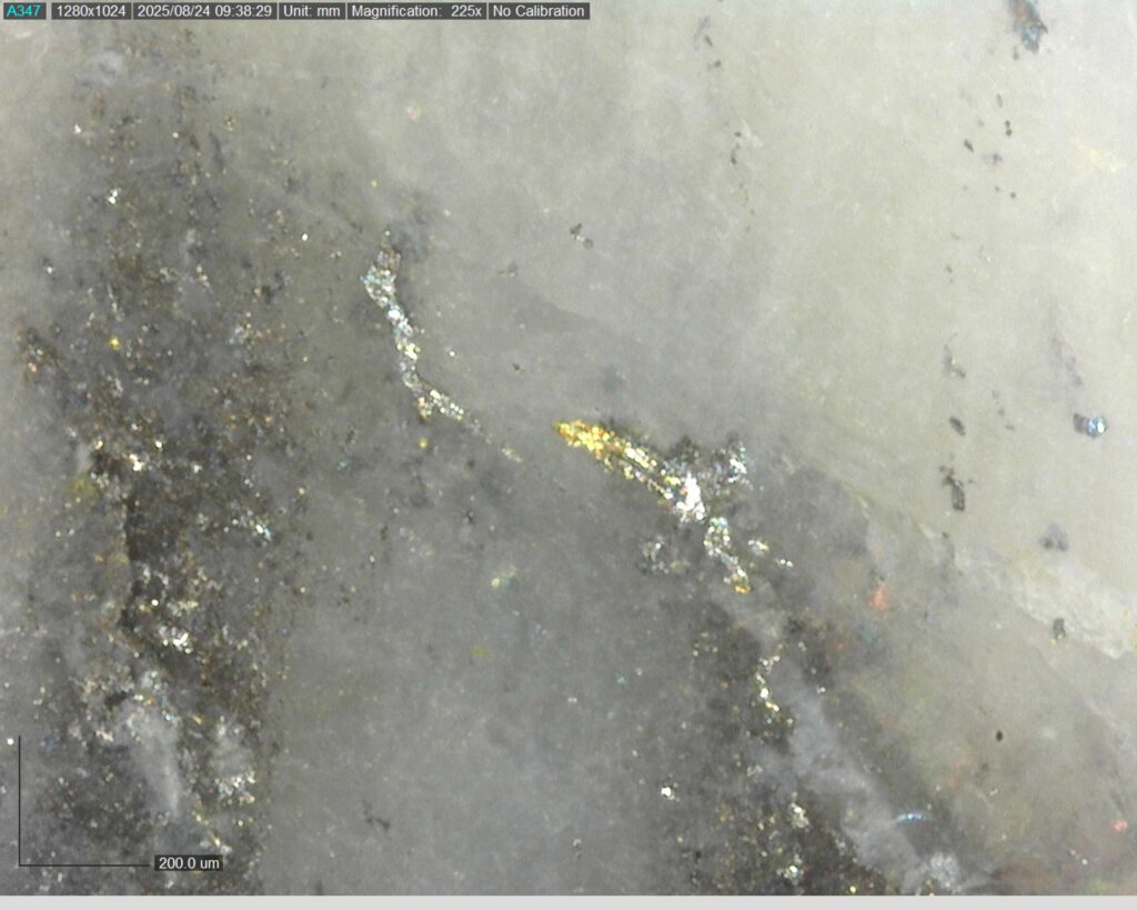 Ddrcgr 25 02 Vg At 171.45m 225x