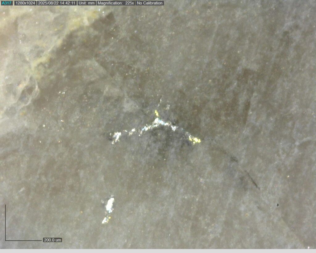 Ddrcgr 25 02 Vg At 68.75m 225x