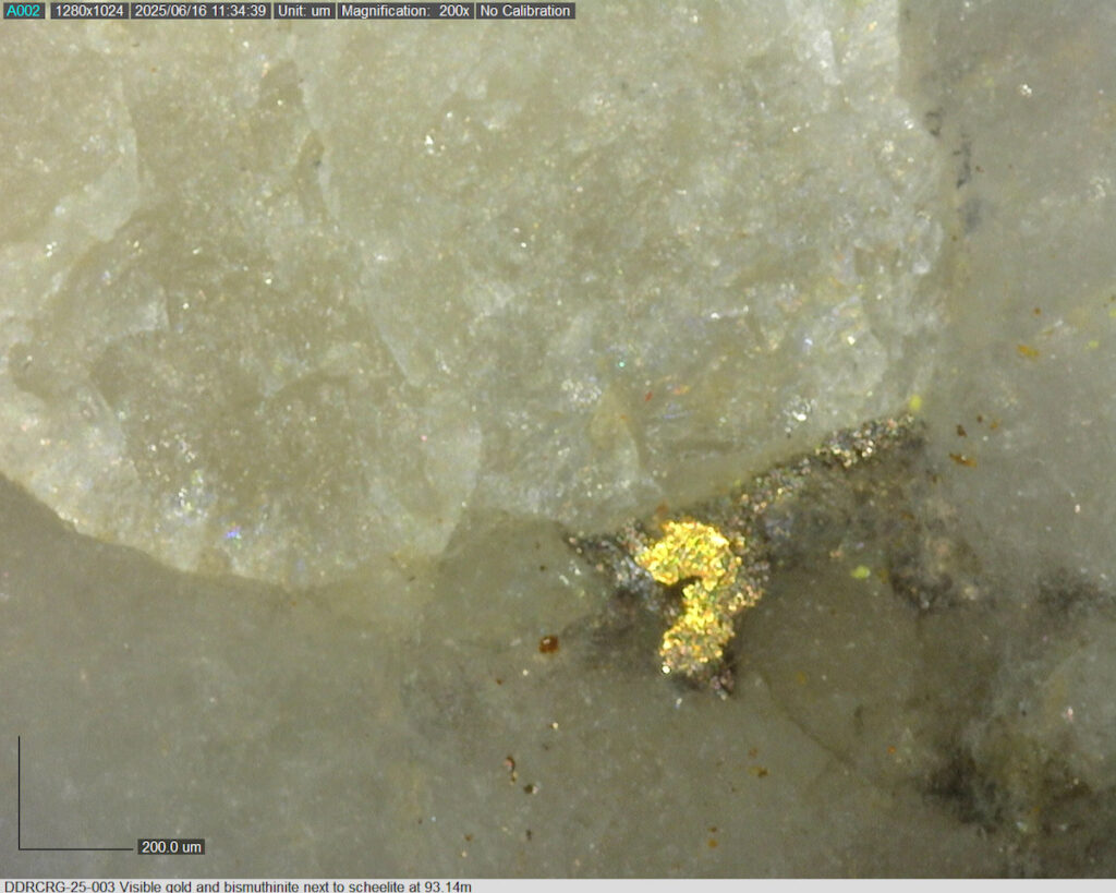 Ddrcrg 25 003 93.14m