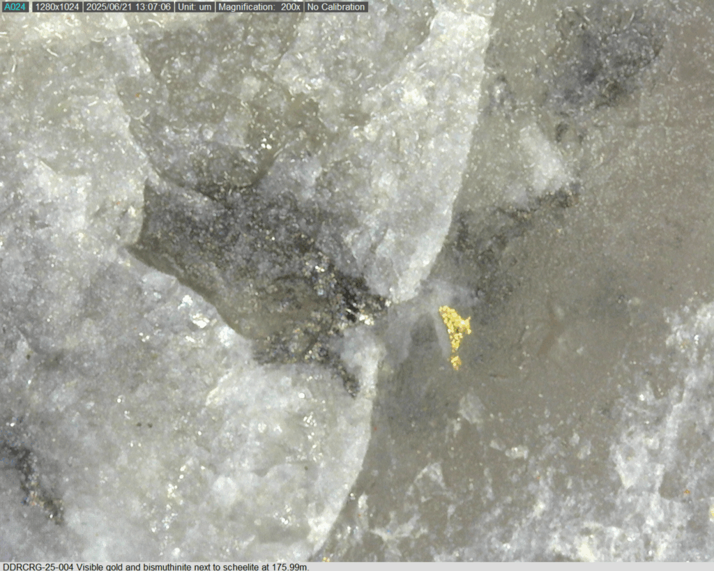 Ddrcrg 25 004 175.99m