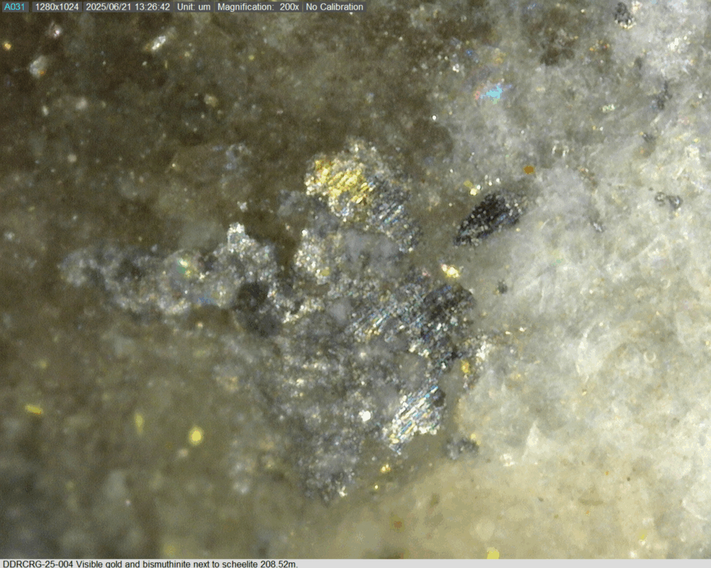 Ddrcrg 25 004 208.52m