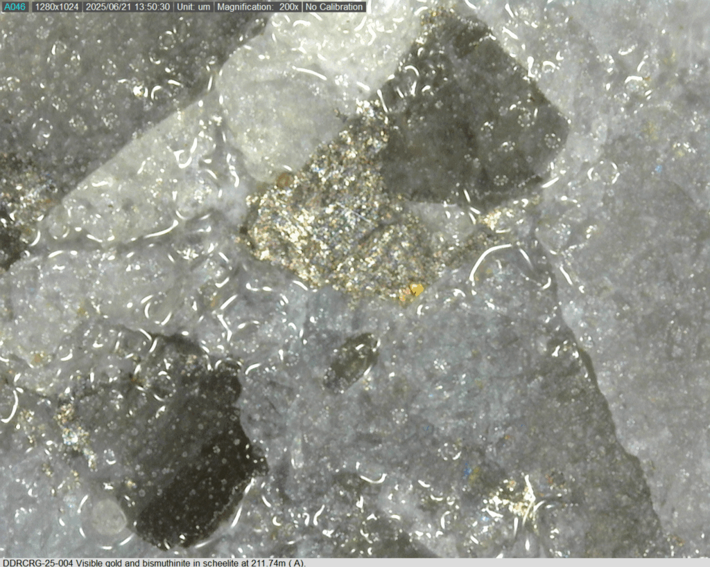 Ddrcrg 25 004 211.74m A