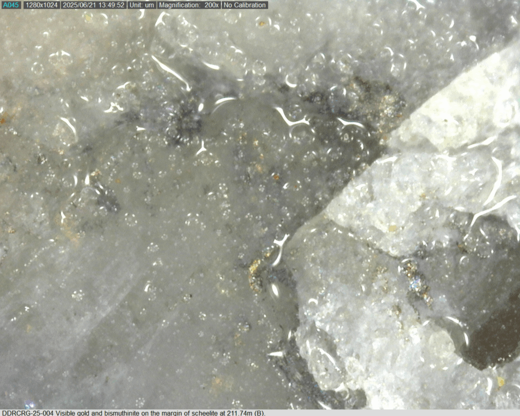 Ddrcrg 25 004 211.74m B