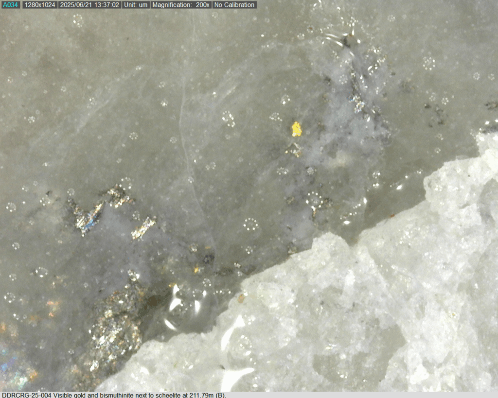 Ddrcrg 25 004 211.79m B