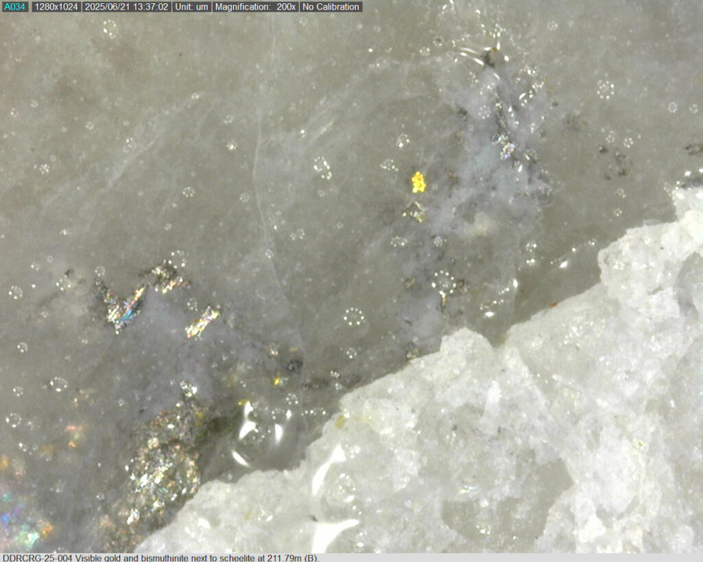 Ddrcrg 25 004 211.79m B