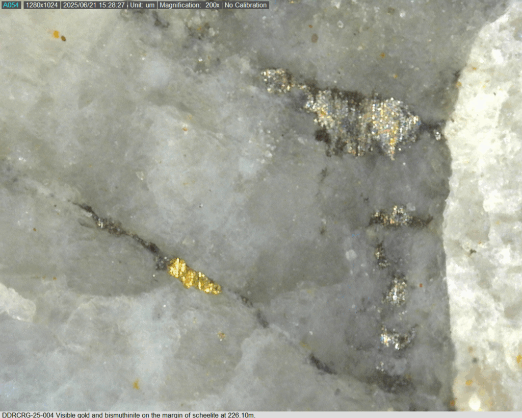 Ddrcrg 25 004 226.10m