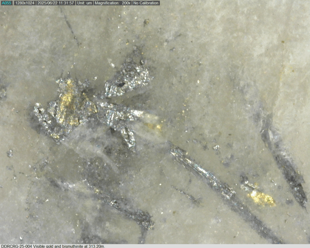 Ddrcrg 25 004 313.20m