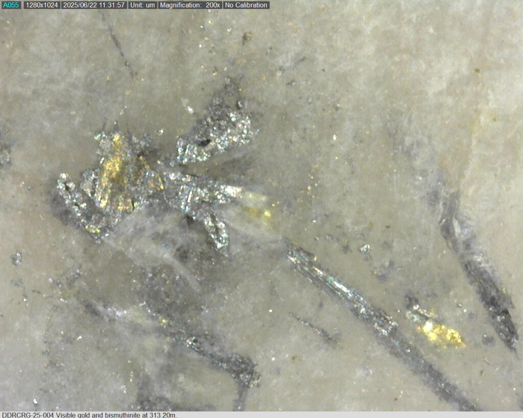 Ddrcrg 25 004 313.20m