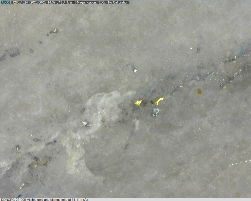 Ddrcrg 25 005 61.11m A