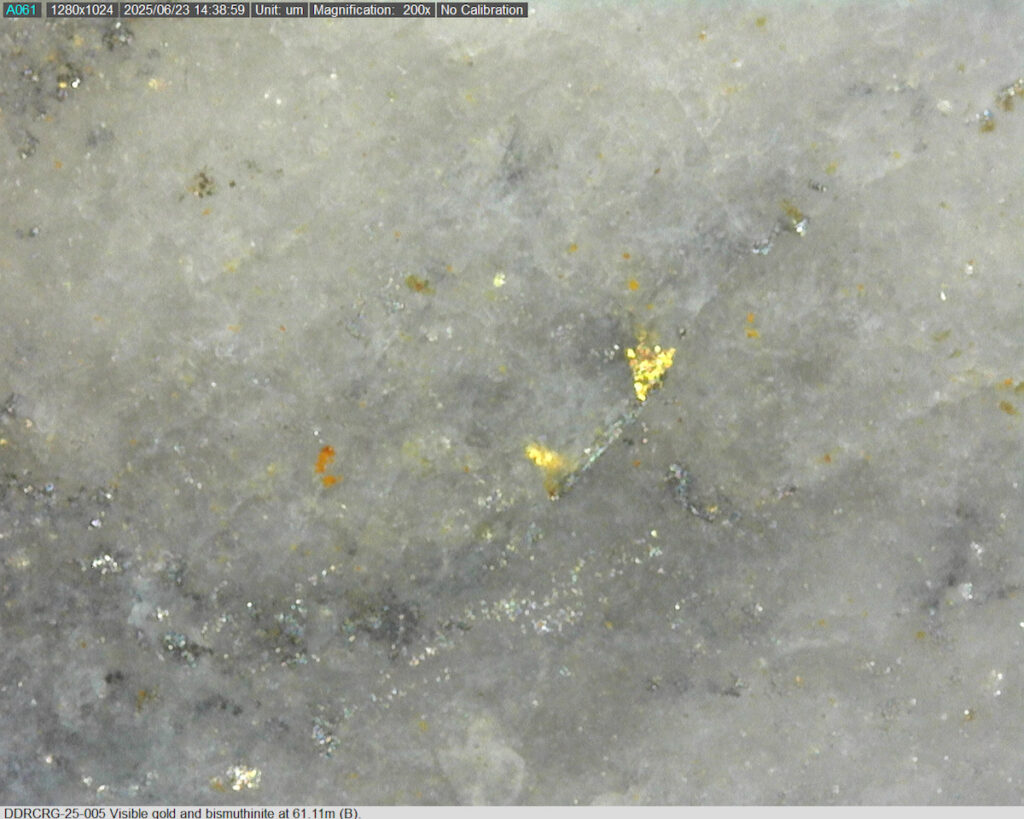 Ddrcrg 25 005 61.11m B