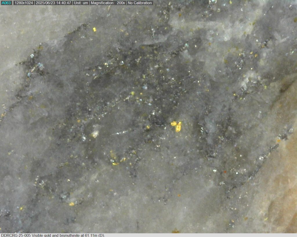 Ddrcrg 25 005 61.11m D