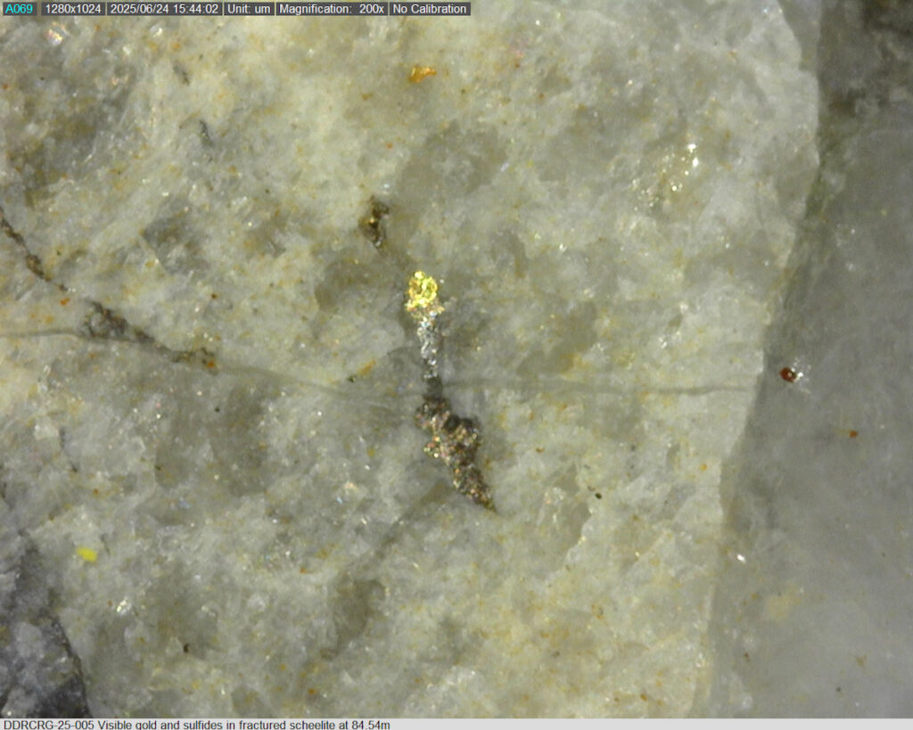 Ddrcrg 25 005 84.54m