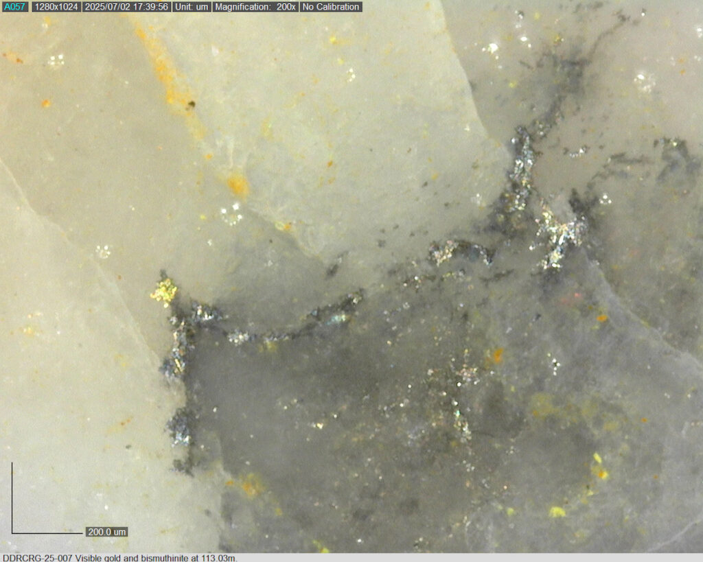 Ddrcrg 25 007 113.03m