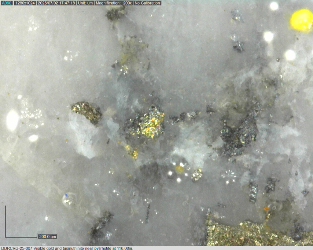 Ddrcrg 25 007 116.08m