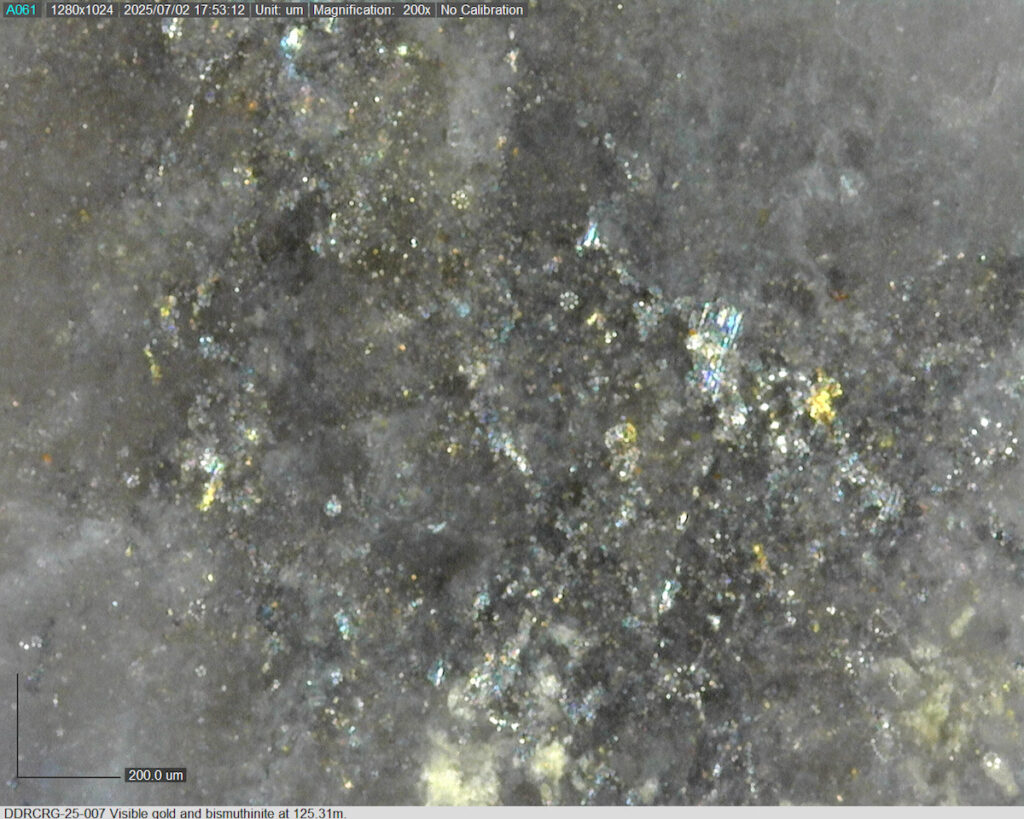 Ddrcrg 25 007 125.31m