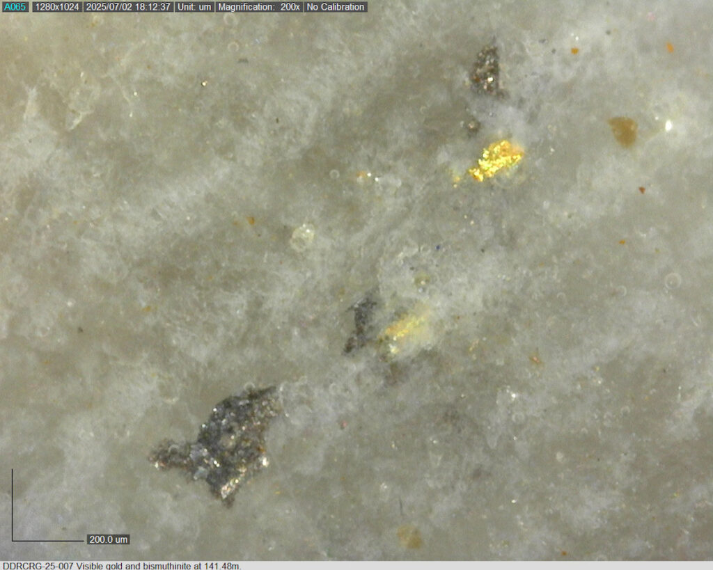 Ddrcrg 25 007 141.48m