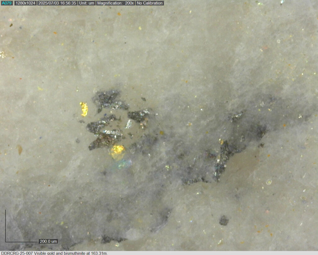 Ddrcrg 25 007 163.31m