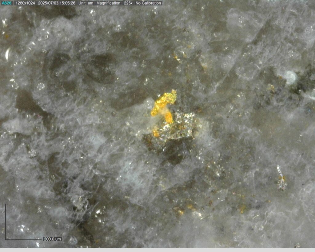 Ddrcrg 25 007 246.02m 225x 0