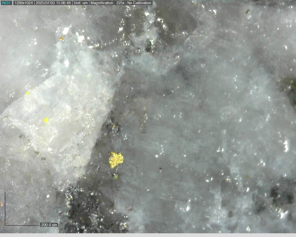 Ddrcrg 25 007 246.02m 225x 1