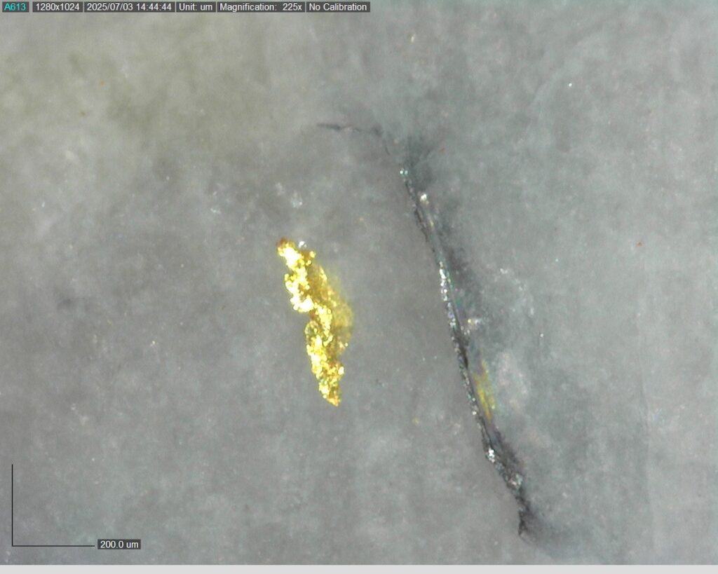 Ddrcrg 25 007 246.36m 225x