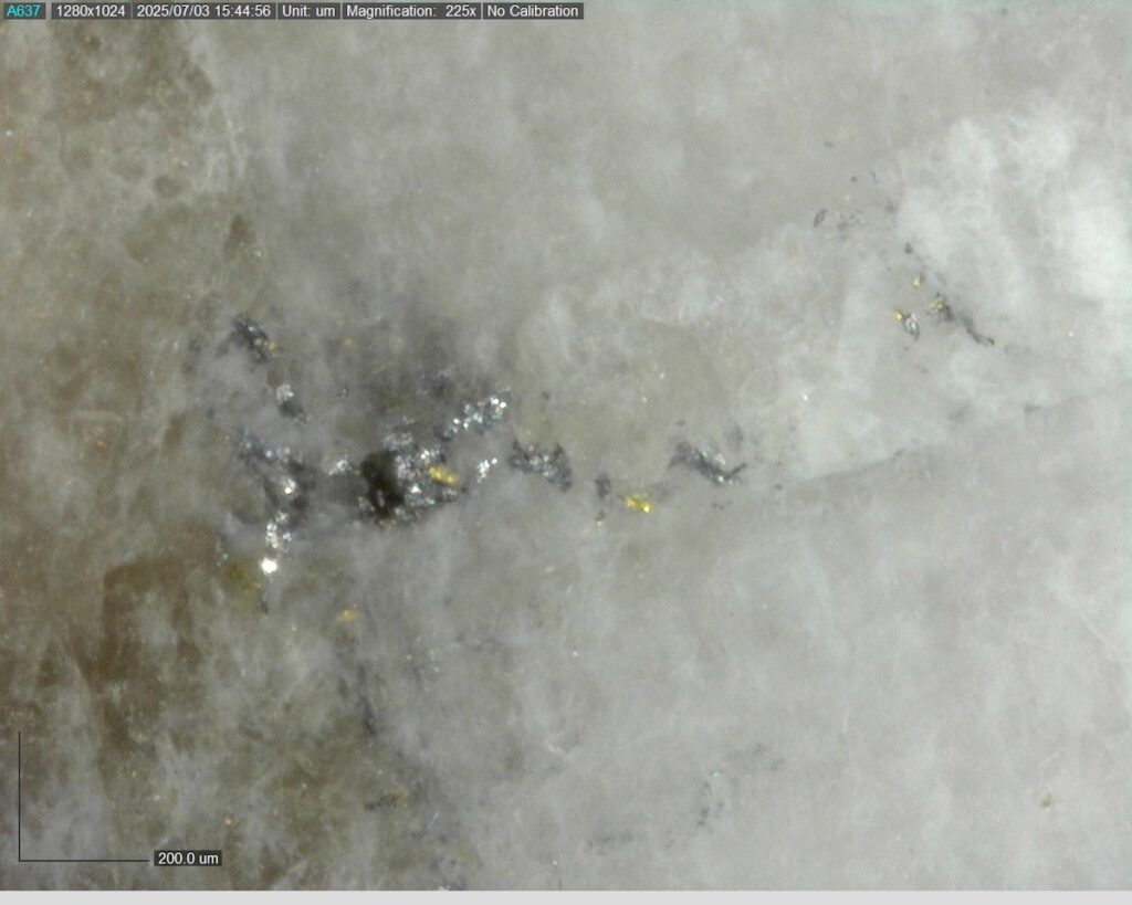 Ddrcrg 25 007 265.74m 225x