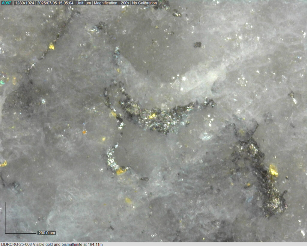 Ddrcrg 25 008 164.11m