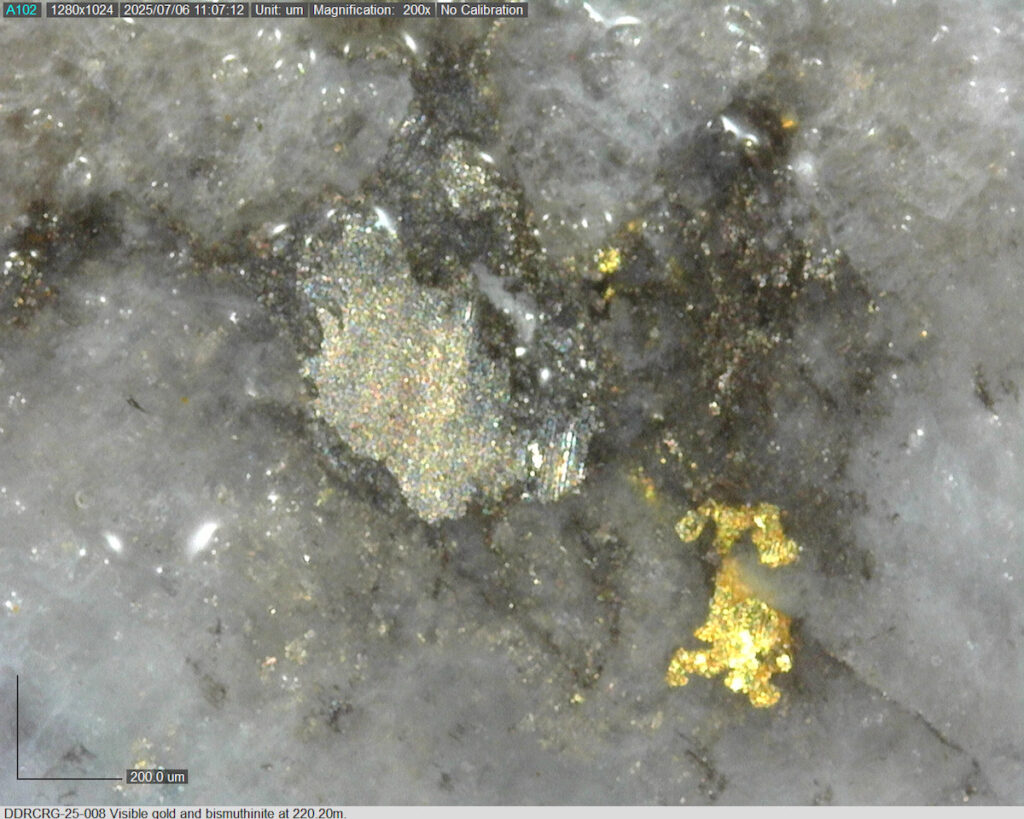 Ddrcrg 25 008 220.20m