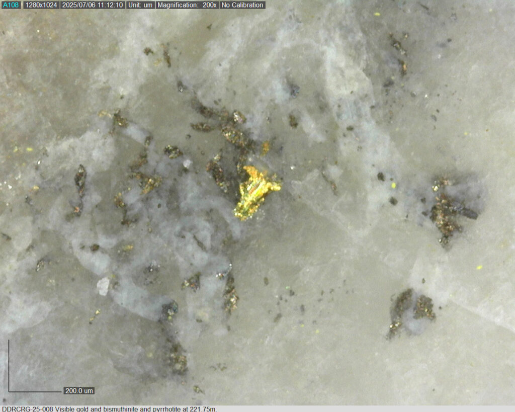 Ddrcrg 25 008 221.75m