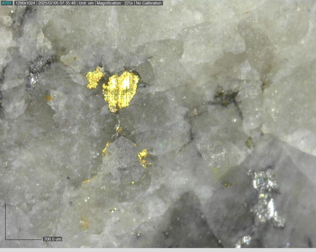 Ddrcrg 25 008 93.11m 225x