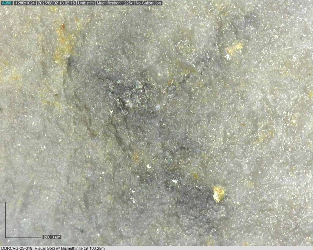 Ddrcrg 25 019 103.29m 225x 05