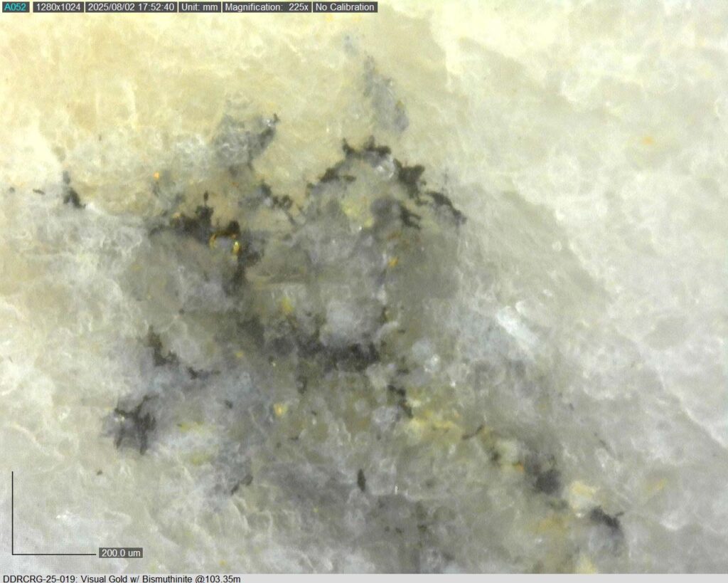 Ddrcrg 25 019 103.35m 225x 05