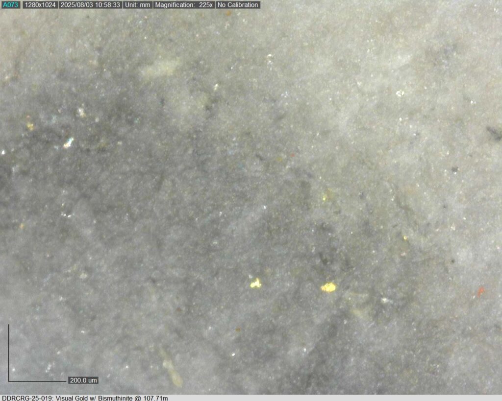 Ddrcrg 25 019 107.71m 225x 02