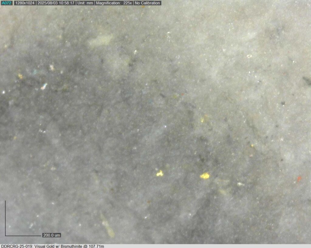 Ddrcrg 25 019 107.71m 225x 03