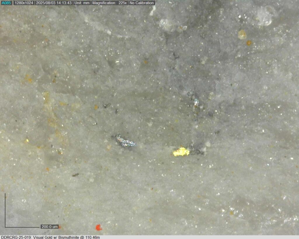 Ddrcrg 25 019 110.46m 225x 01