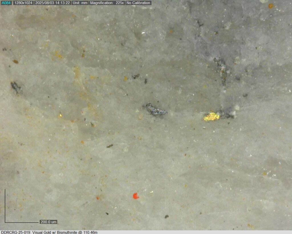 Ddrcrg 25 019 110.46m 225x 02
