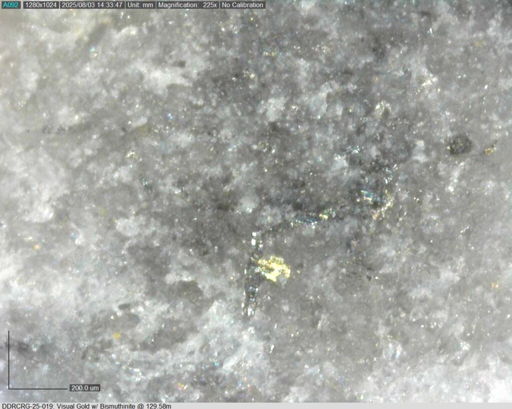 Ddrcrg 25 019 129.58m 225x 02