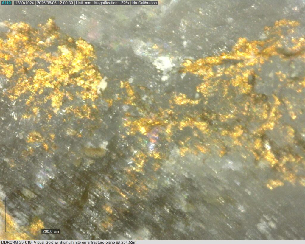 Ddrcrg 25 019 254.52m 225x 02