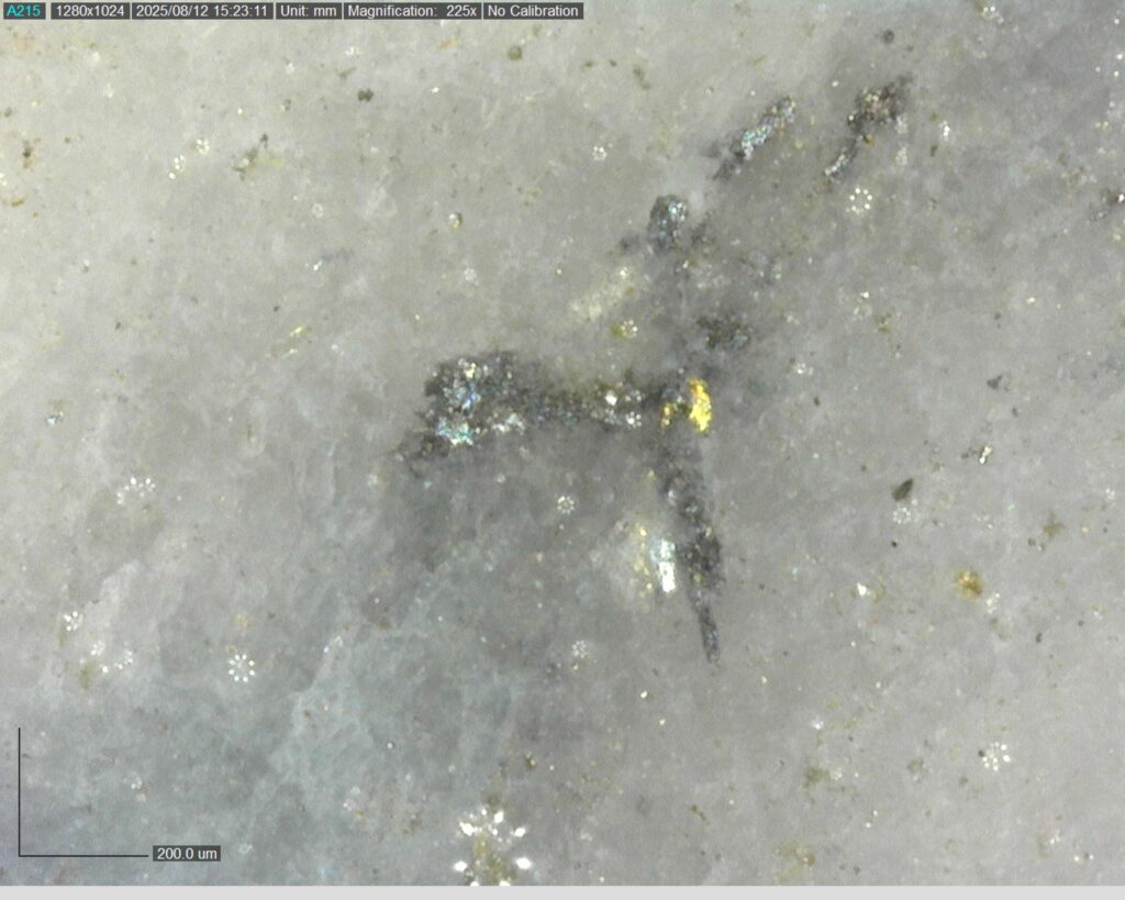 Ddrcrg 25 024 Vg At 137.182m 225x
