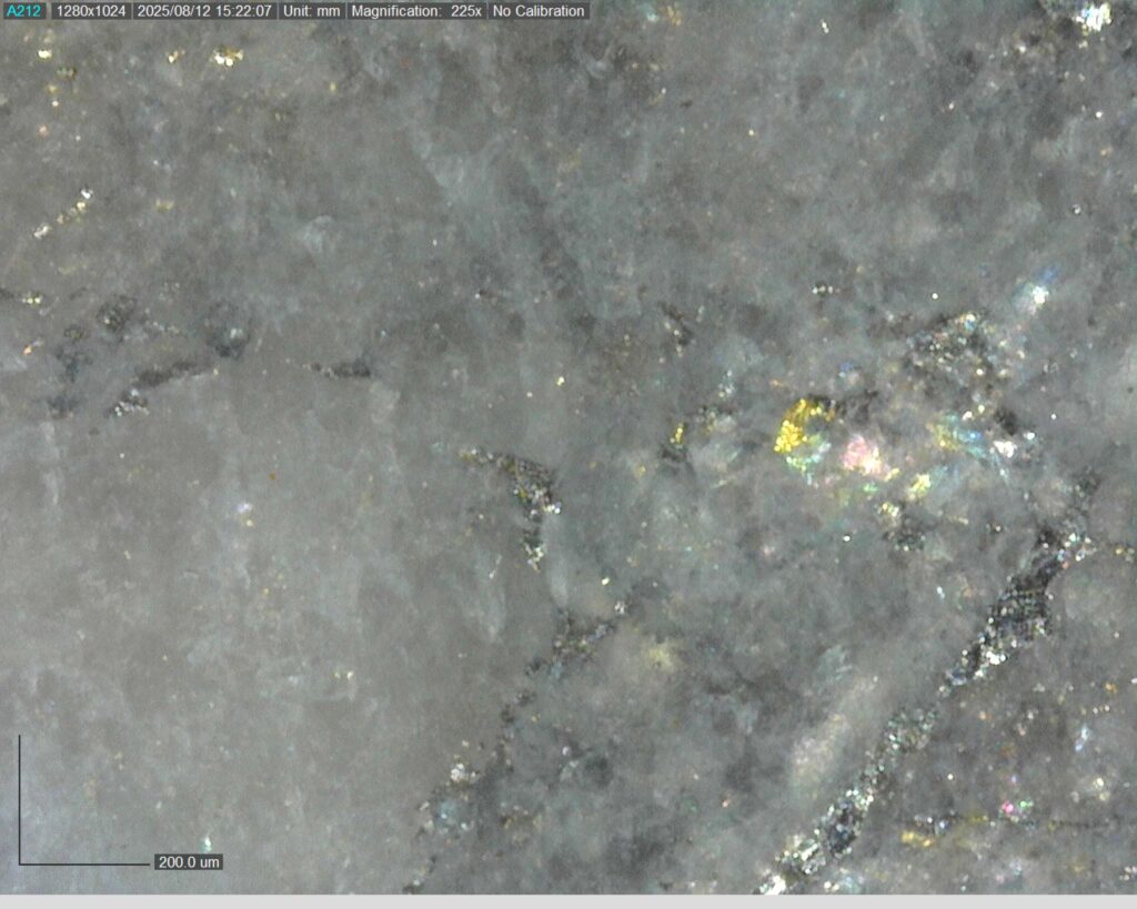 Ddrcrg 25 024 Vg At 137.18m 225x