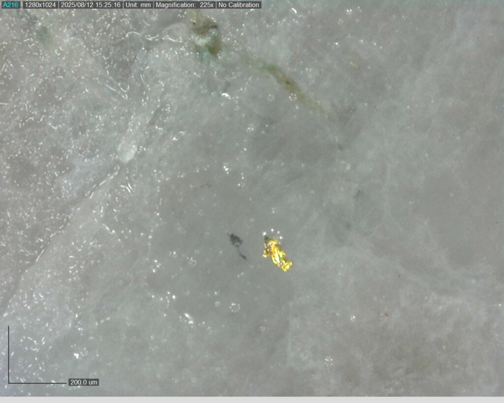 Ddrcrg 25 024 Vg At 141.71m 225x