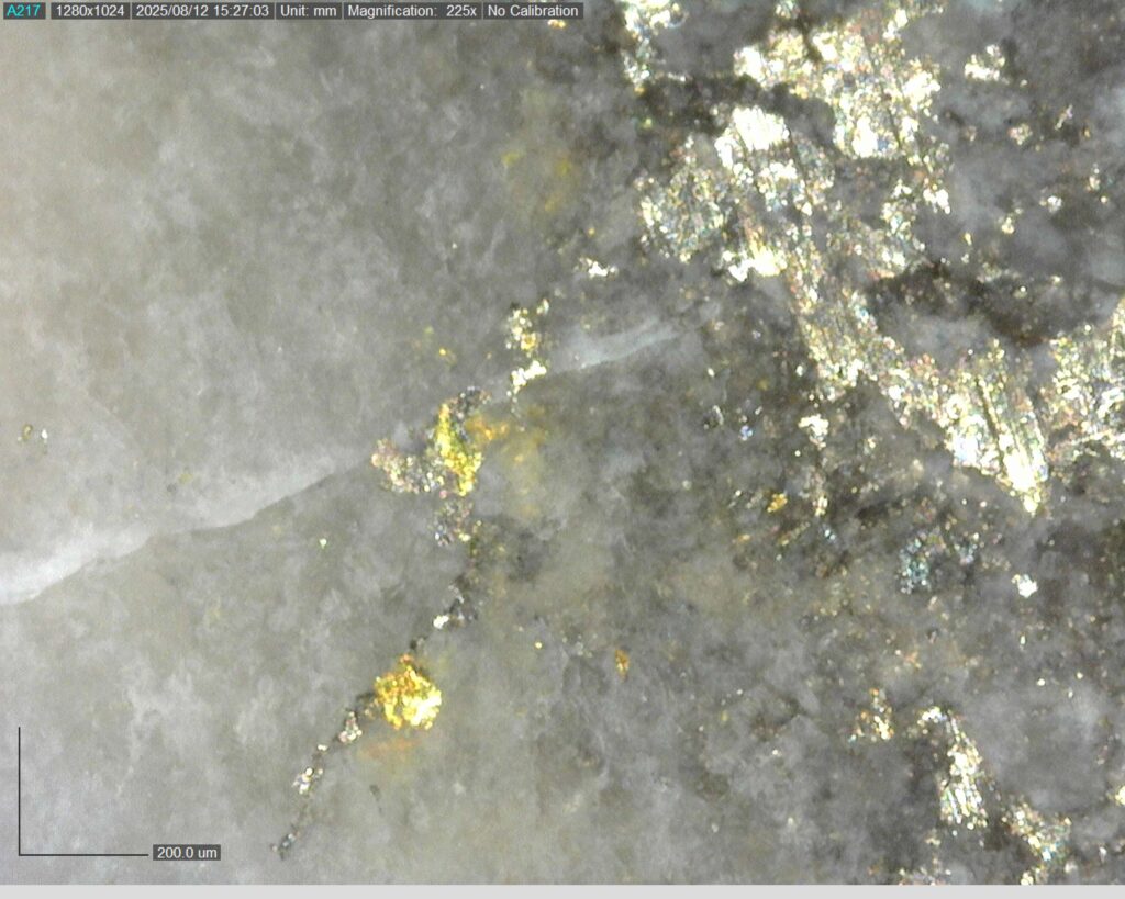 Ddrcrg 25 024 Vg At 145.44m 225x