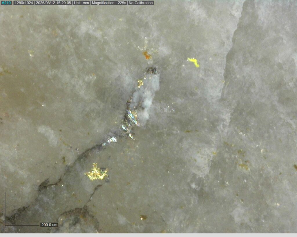 Ddrcrg 25 024 Vg At 149.61m 225x
