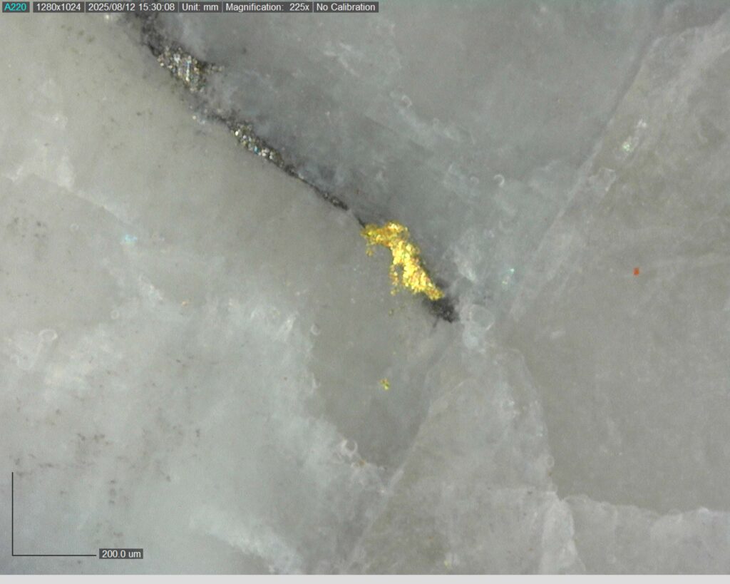 Ddrcrg 25 024 Vg At 157.10m 225x