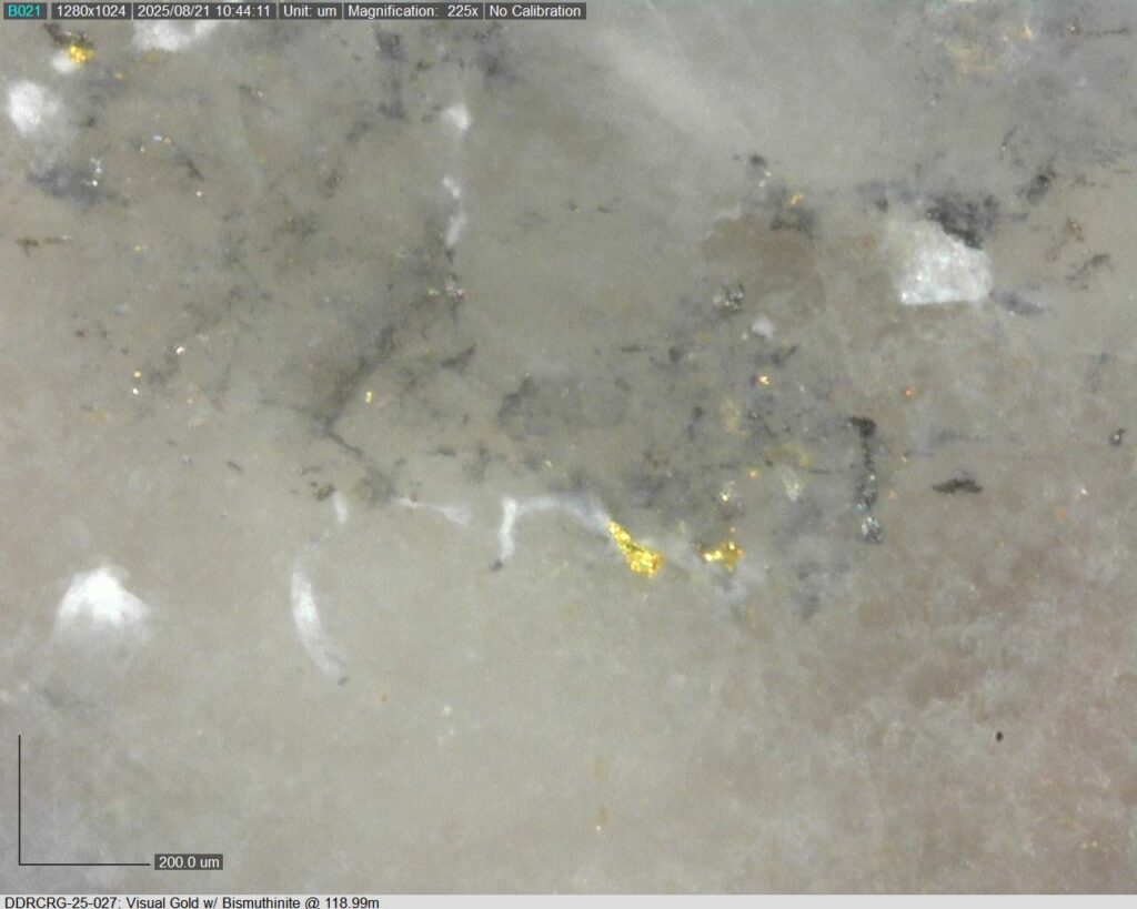 Ddrcrg 25 027 118.99m 225x 04