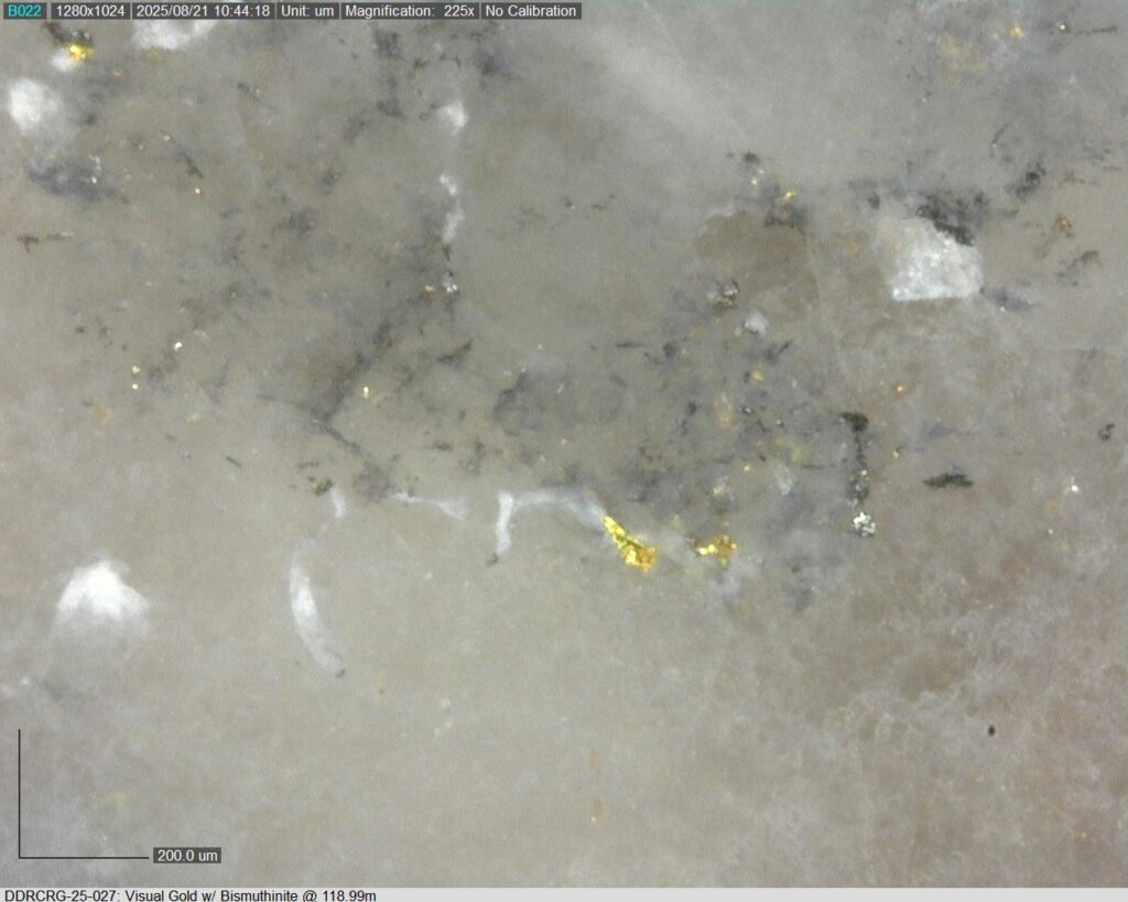 Ddrcrg 25 027 118.99m 225x 05