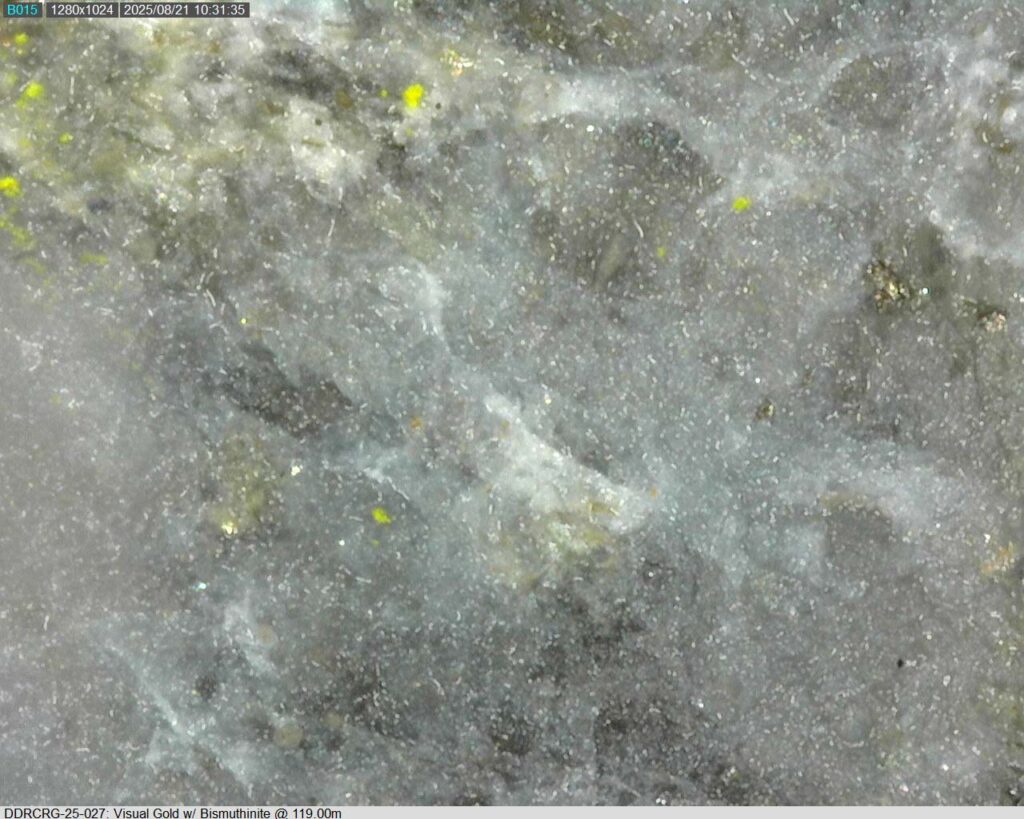 Ddrcrg 25 027 119.00m 225x 01
